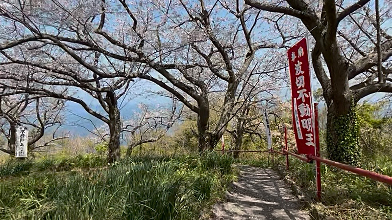 イベント関連情報