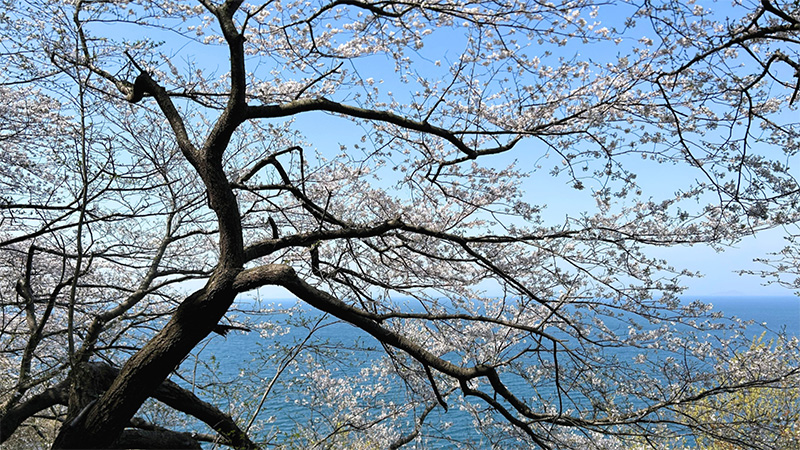イベント関連情報